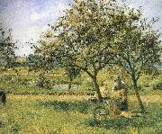 Camille Pissarro Wheelbarrow oil on canvas